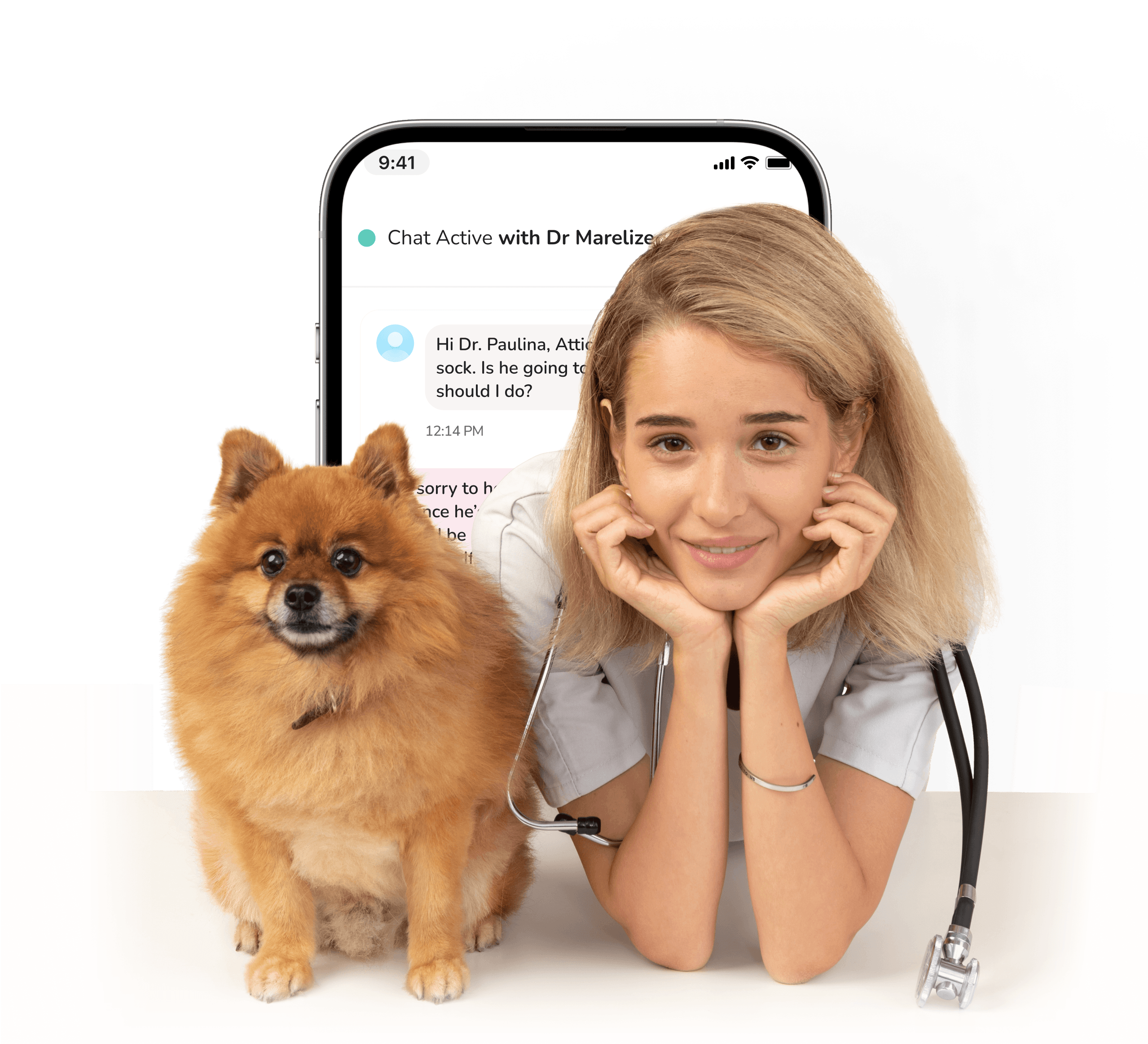 Pet chat deals