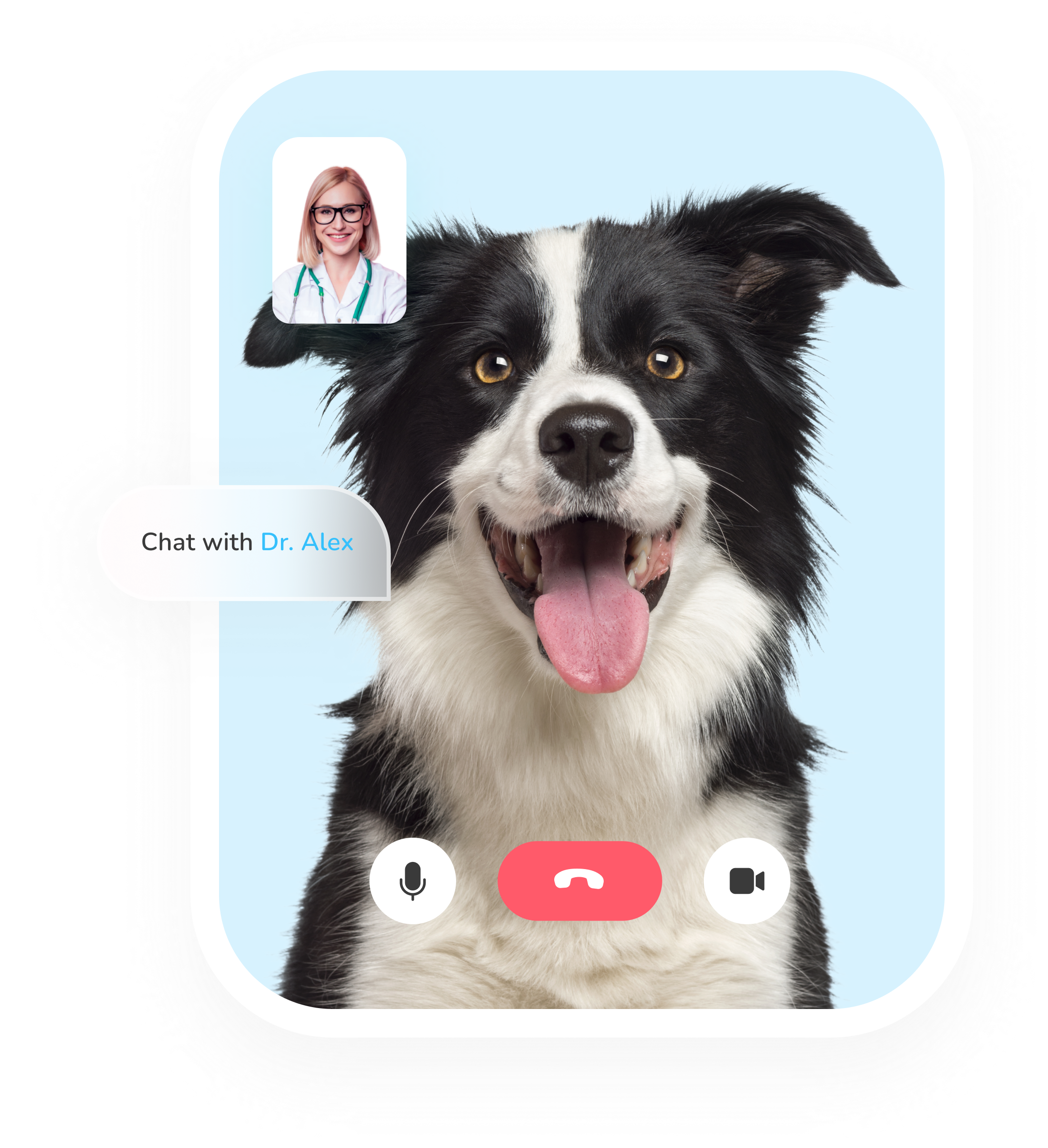 A dog on a skyblue background with thick white borders and video call controls on it. A doctor's image is superimposed on the image. A message bubble at the left center of the image reads: 'Chat with Dr. Alex'.