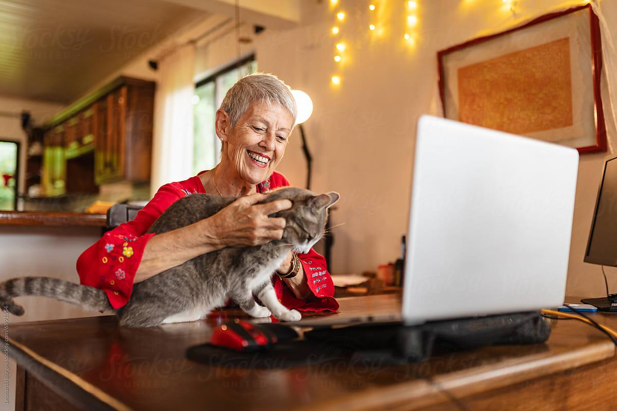 24/7 Video Vet Access