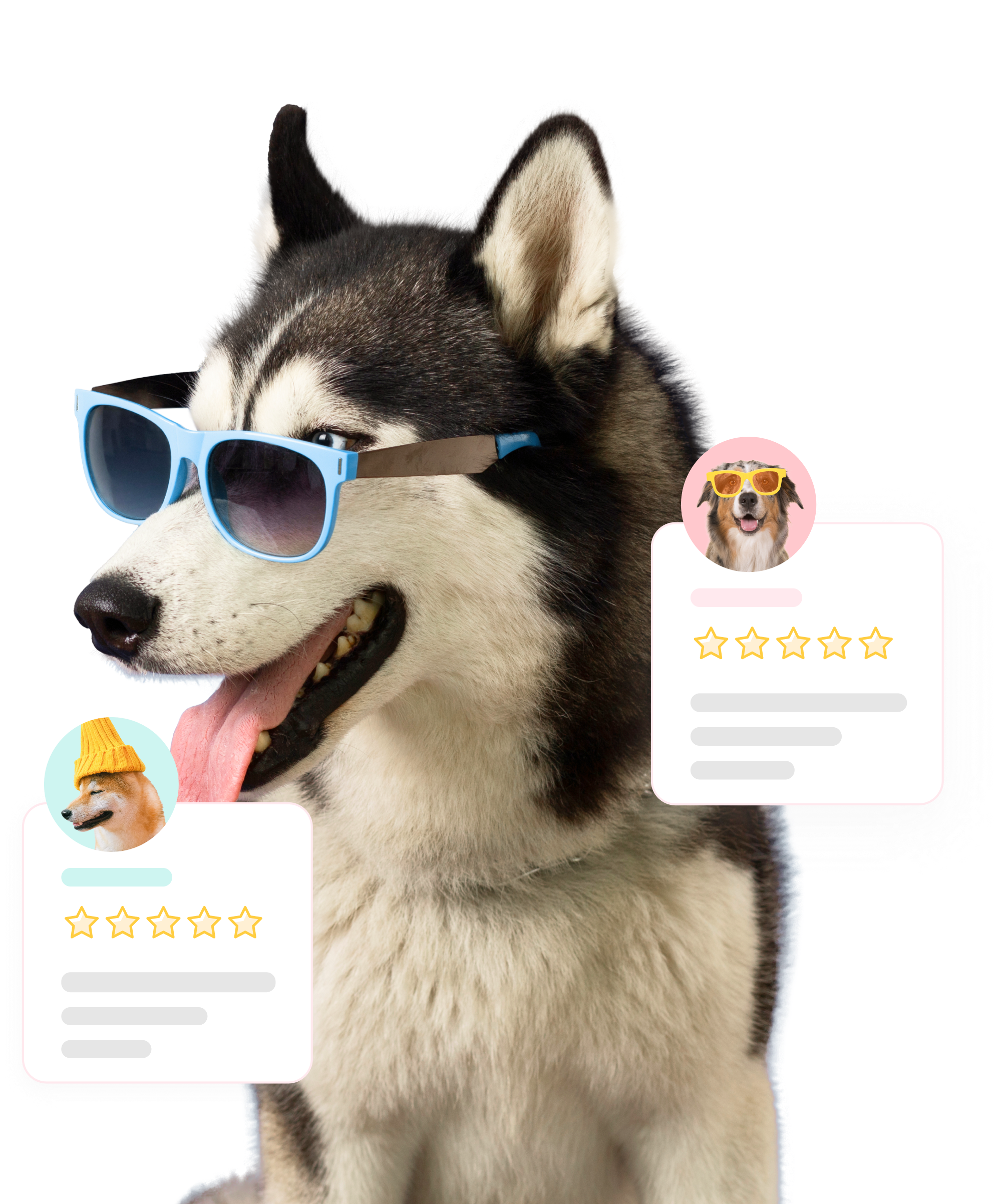 Dog with its tongue out wearing a sunglass. There are two testimonial cards on the image.