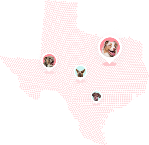 Map of Texas that has four location pins with images of dogs on them.