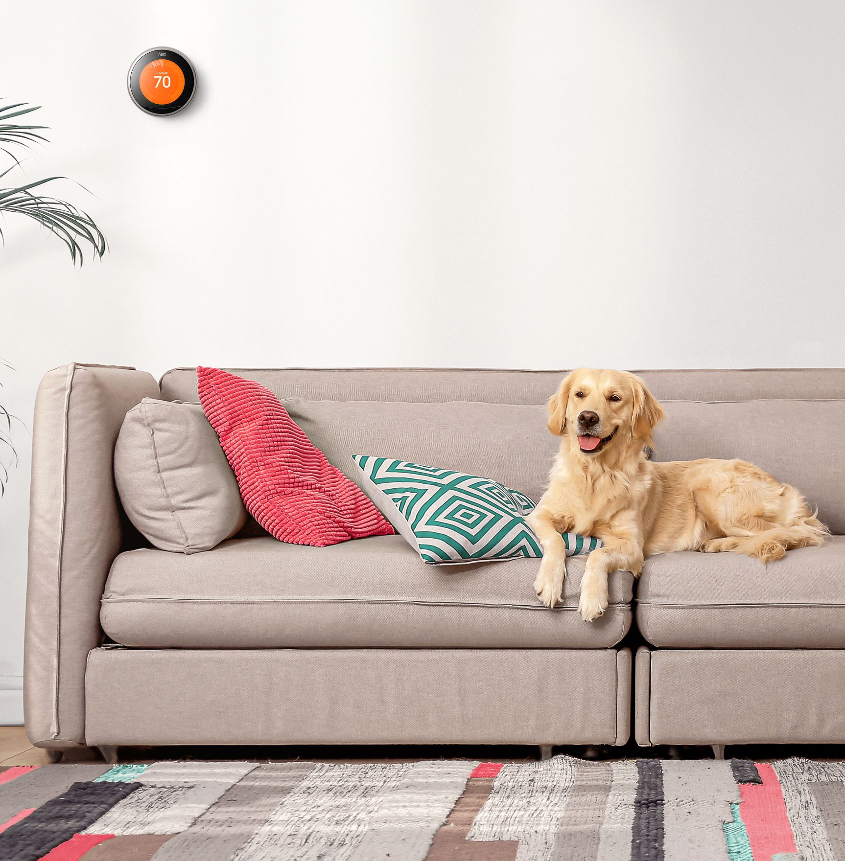 A dog is sitting on a sofa. There is a thermostat on the wall, a plant at the left corner and a lamp at the right corner. An alert pops out with the title: 'Energy usage alert' and its message content reads: 'Congrats! You've met your energy conservation goal.'