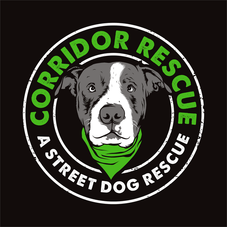 Corridor - Corridor Rescue circle