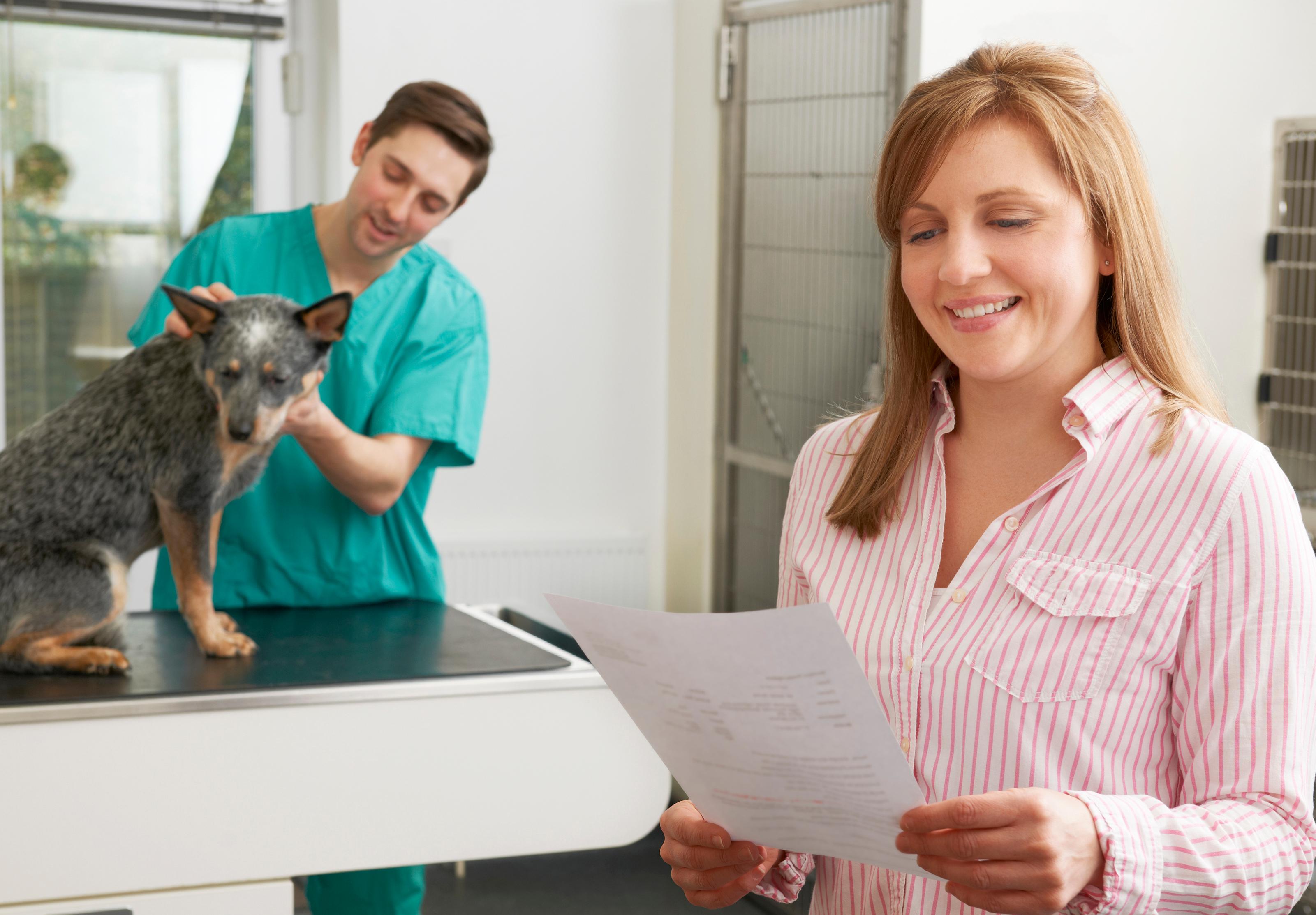 A woman is viewing her bill while a vet doctor is treating her dog in the background.