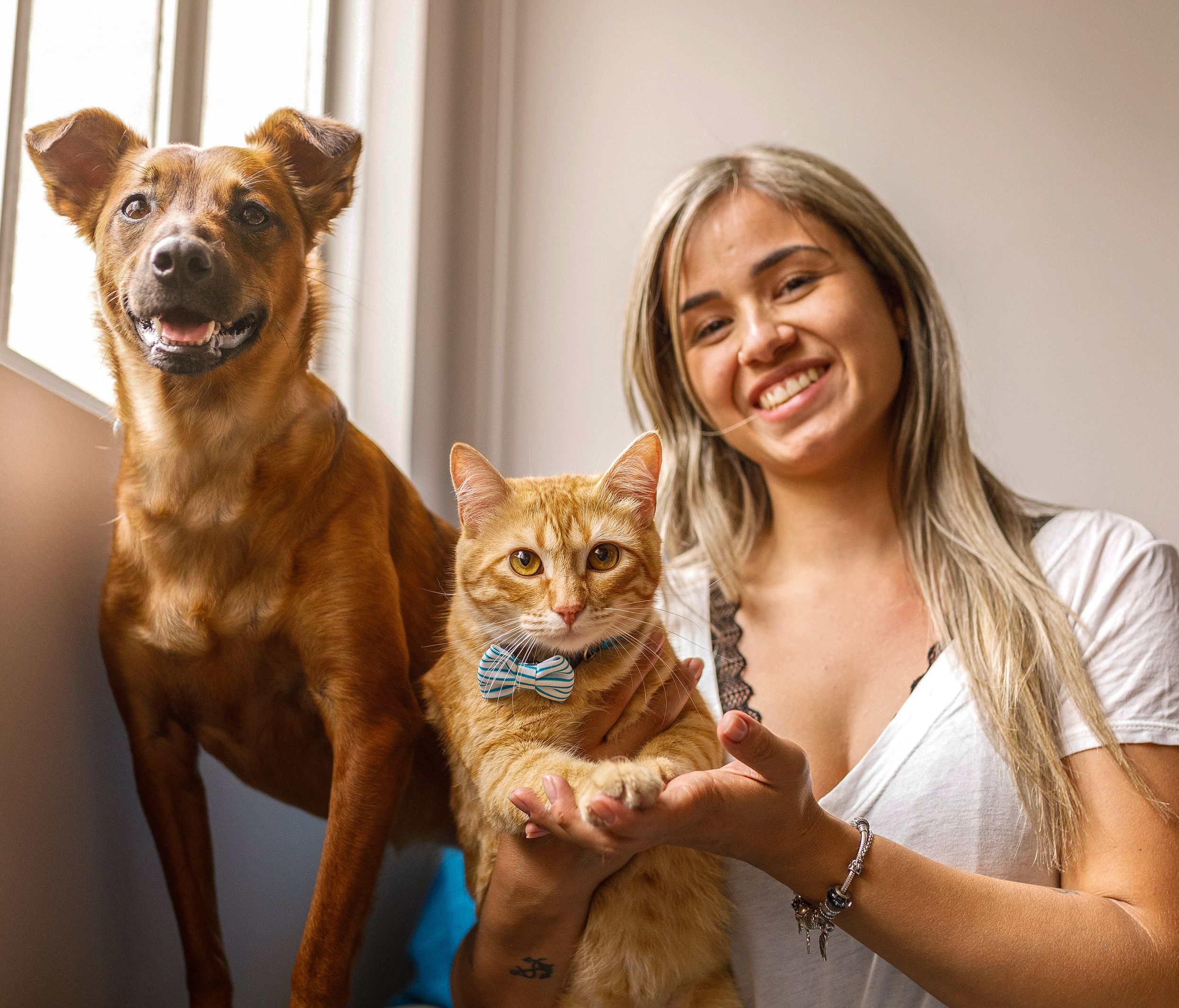 A woman sitting close to a window with a dog and cat beside her. The cat is wearing a cute bow collar and the woman is holding its paws.