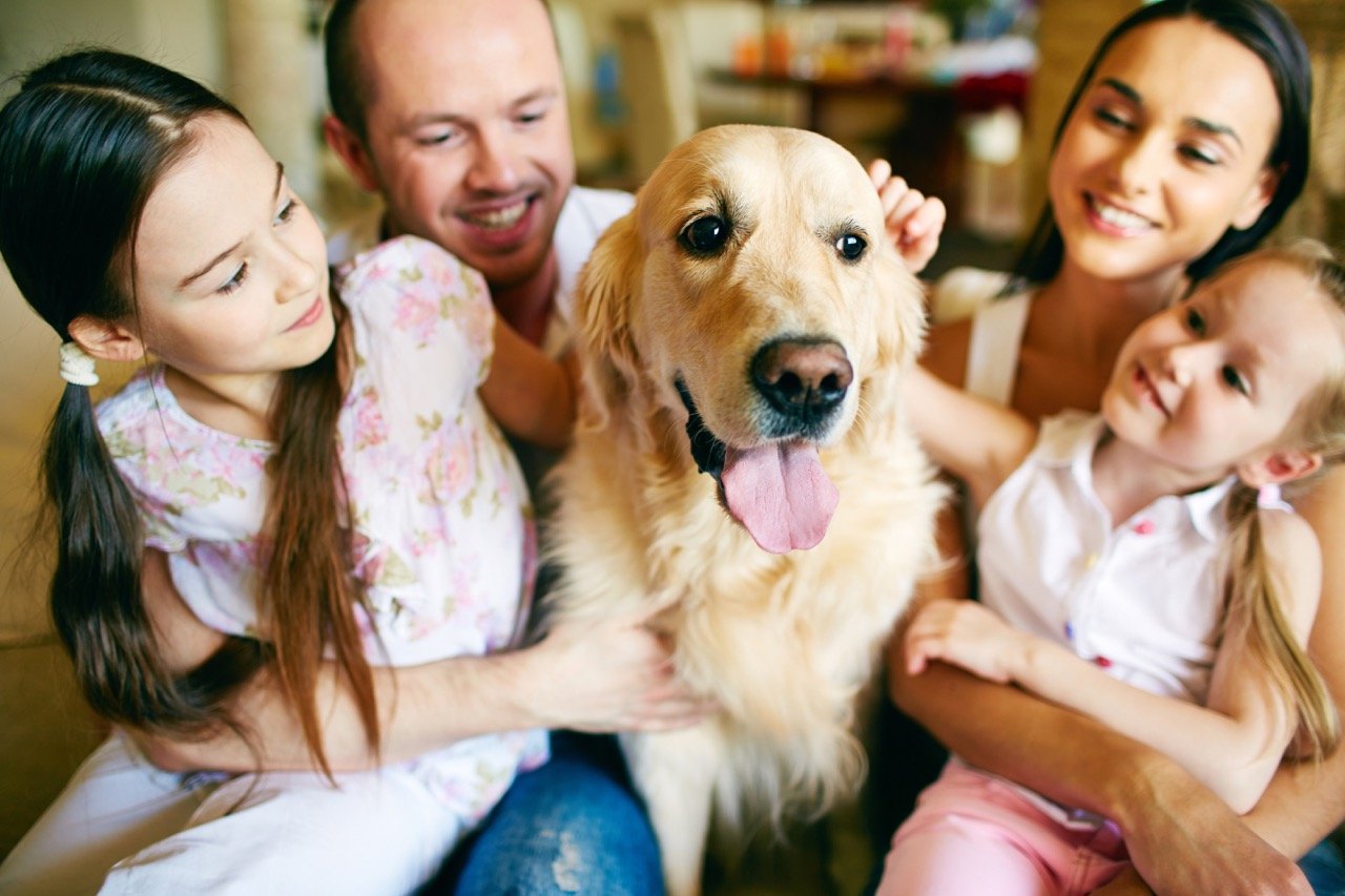 6 Ways to Keep Your Dog’s Teeth Clean and Healthy