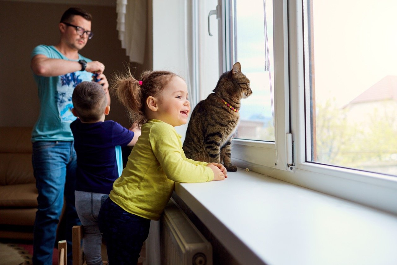 Are Cats Nocturnal_ All the Facts