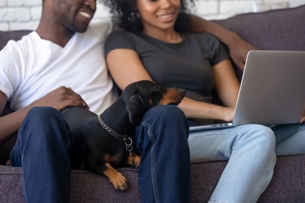 Electricity Companies in Texas and How to Choose One-1