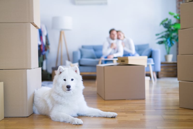 Energy Providers in Texas