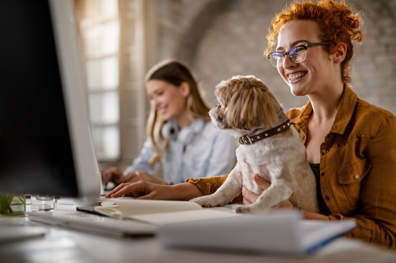 How to Choose the Best Electricity Plan for Your Small Business 