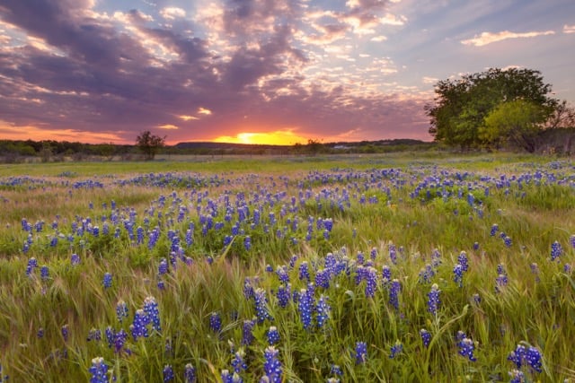 How to Choose the Best Texas Energy Services