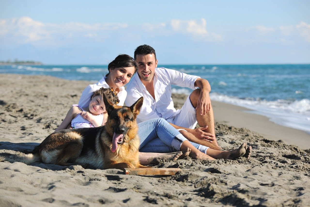 What Types of Electricity Plans are Available in Corpus Christi_
