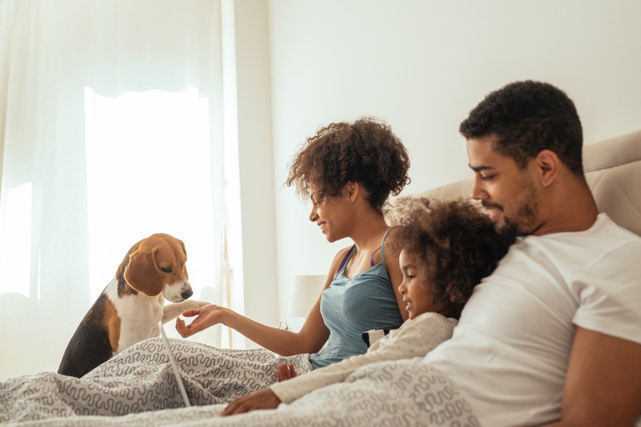 Who is the Most Reliable Electric Company in Central Texas_ 