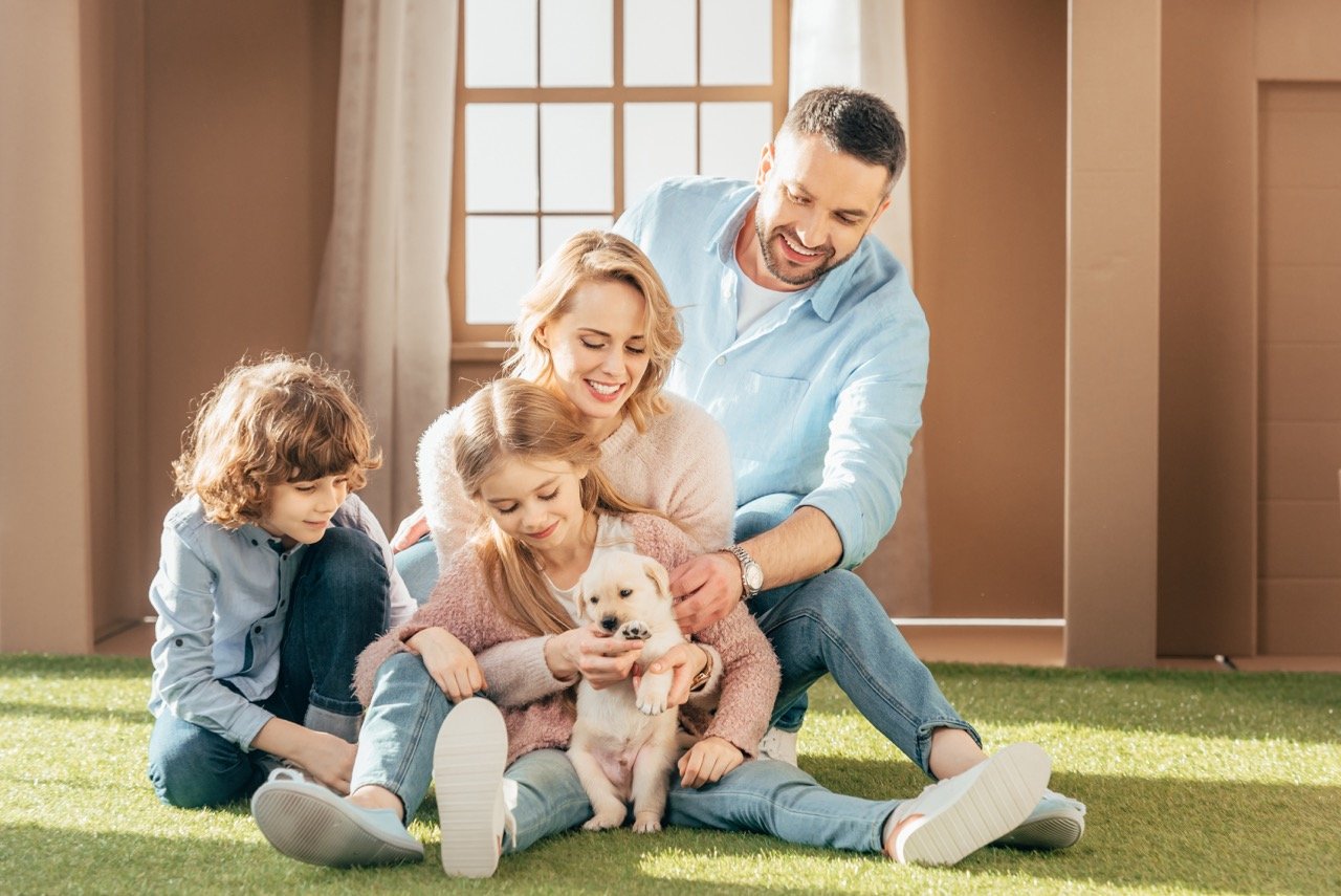 Why You Shouldn’t Get a Dog or Cat Without Considering These Things