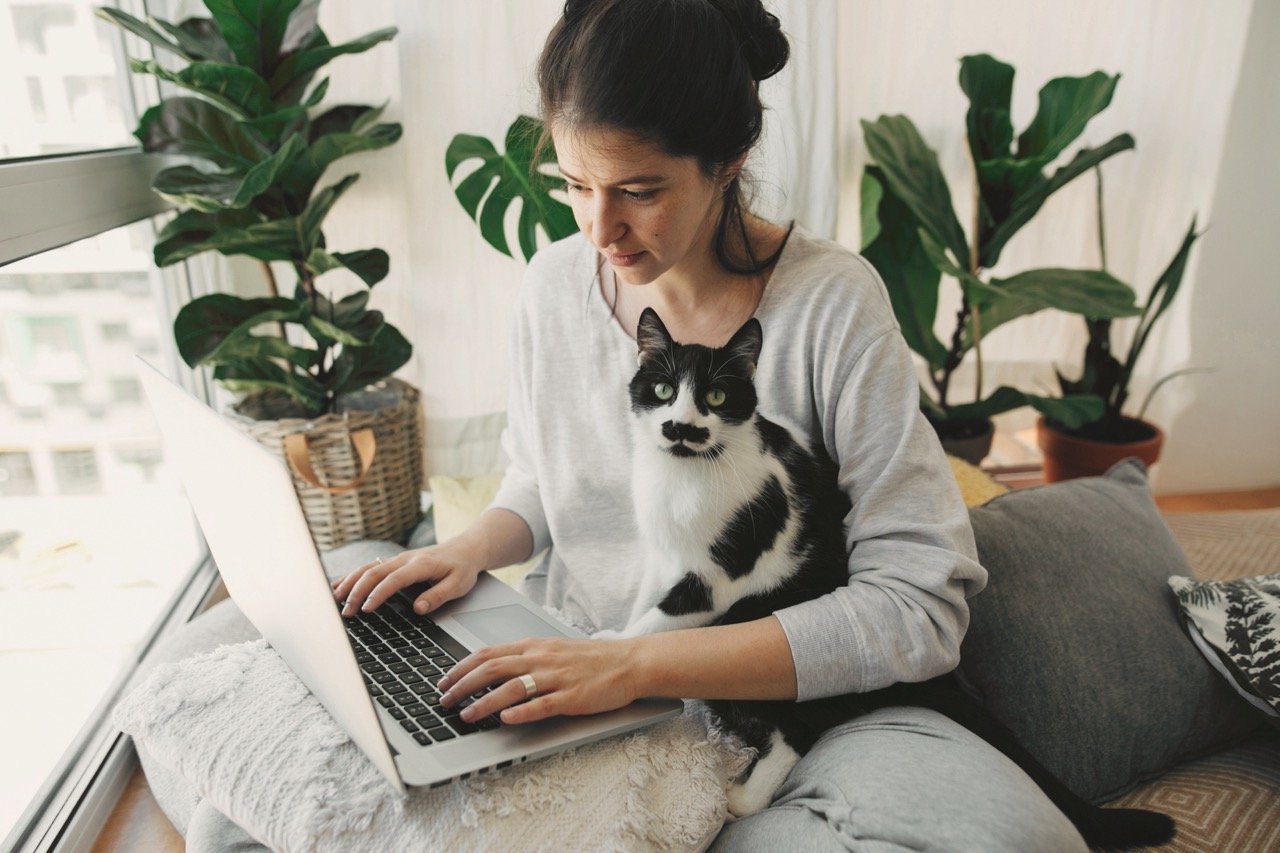 Why are Some Cats More Active at Night Than Others