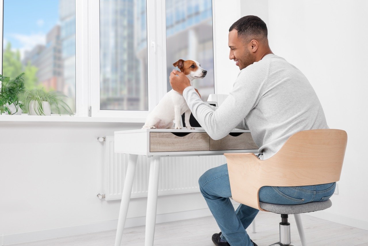 What’s Your Pet’s Horoscope? Understanding Their Zodiac Sign