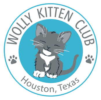 wolly kitten club logo wolly kitten club logo